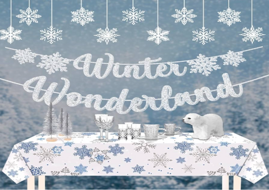 Winter Wonderland Salsa Party